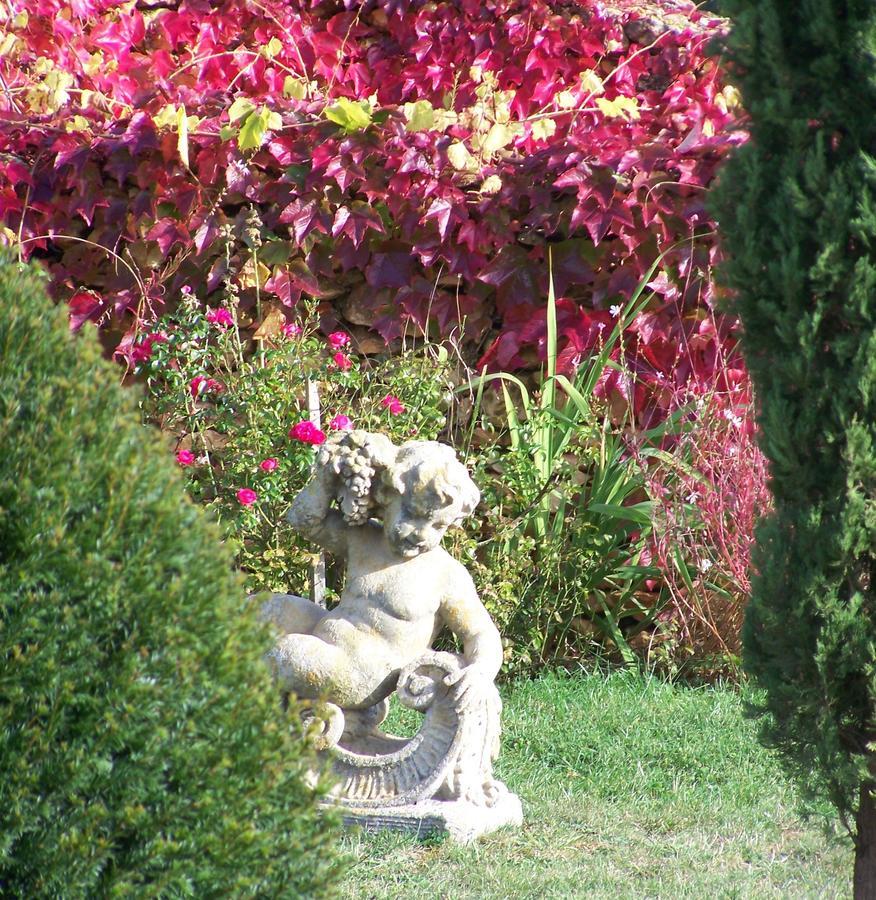 La Charmeraie Bed and Breakfast Saint-Cirq  Esterno foto